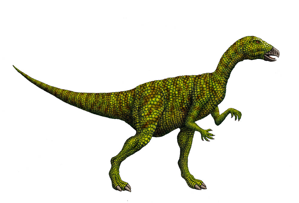 Dryosaurus